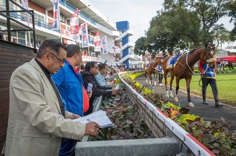 durban july tips|Durban July 2023 Preview and Betting Tips.